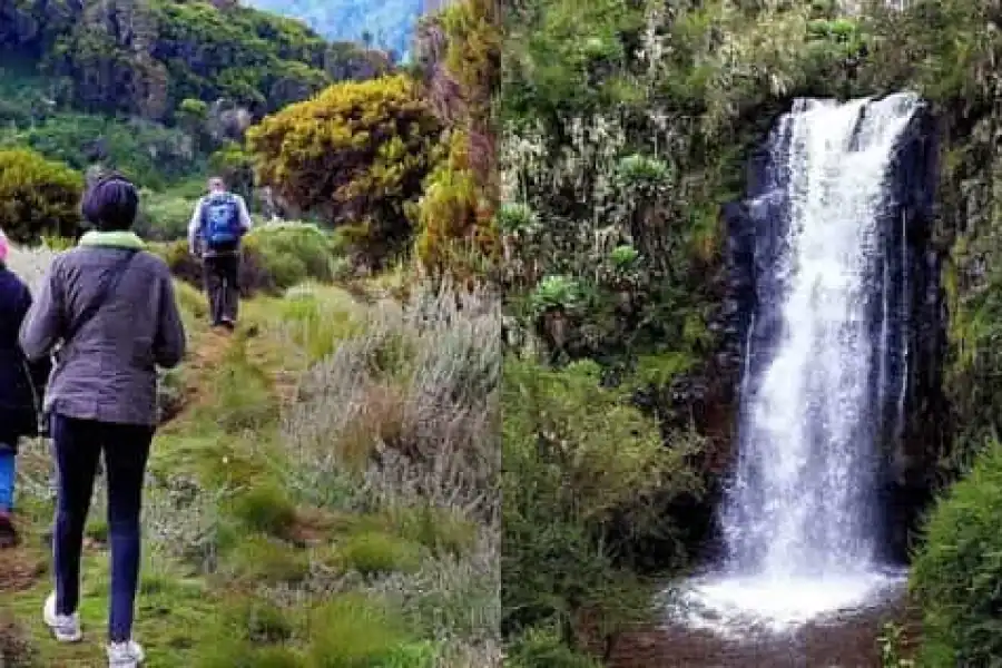 🚸1-day Aberdare National Park Safari Experience