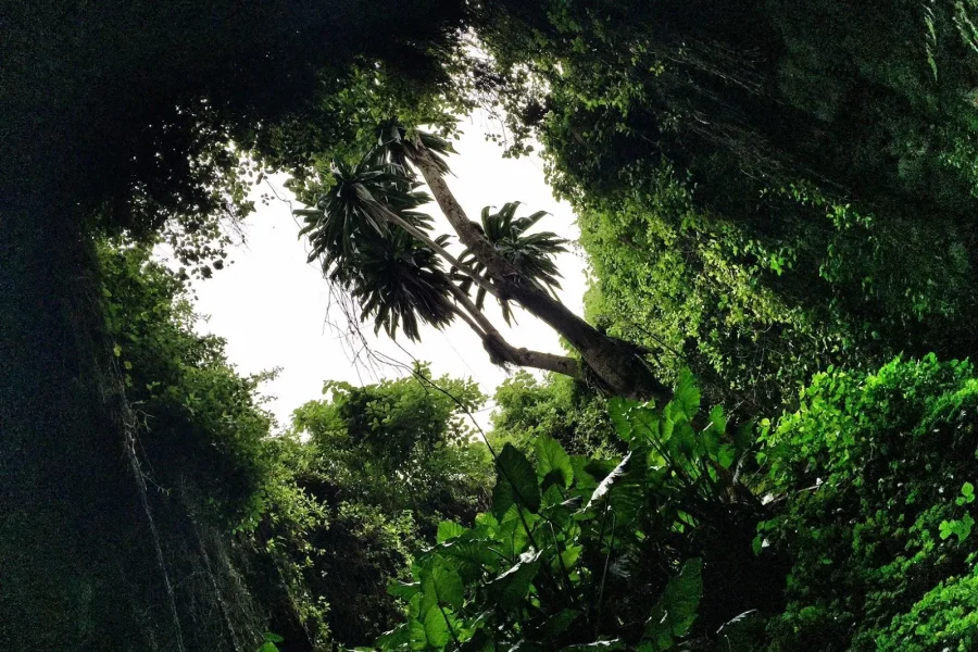 🕓1 Day Caves and Local Culture in The Volcanoes National Park