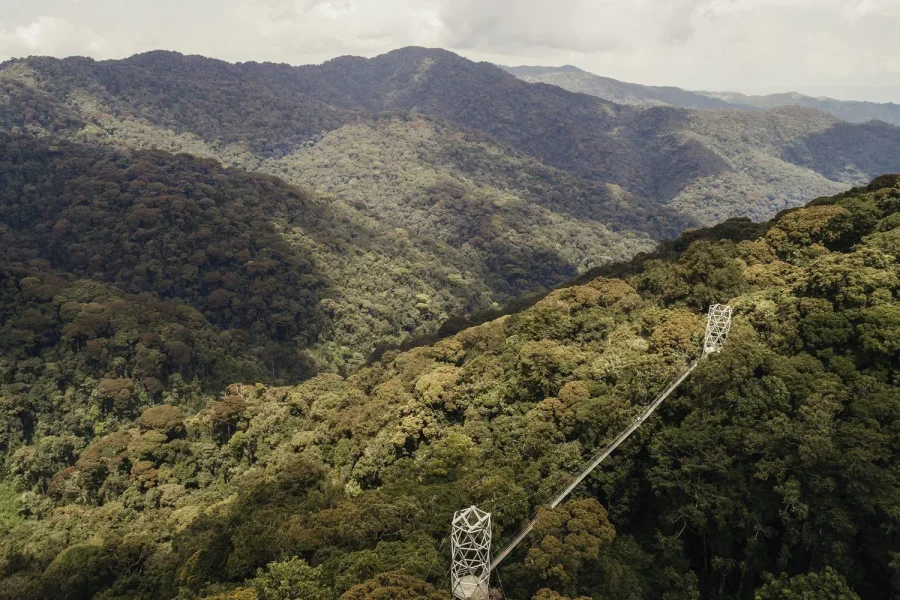 🕓1-Day Nyungwe Forest Canopy Walk and Zipline adventure