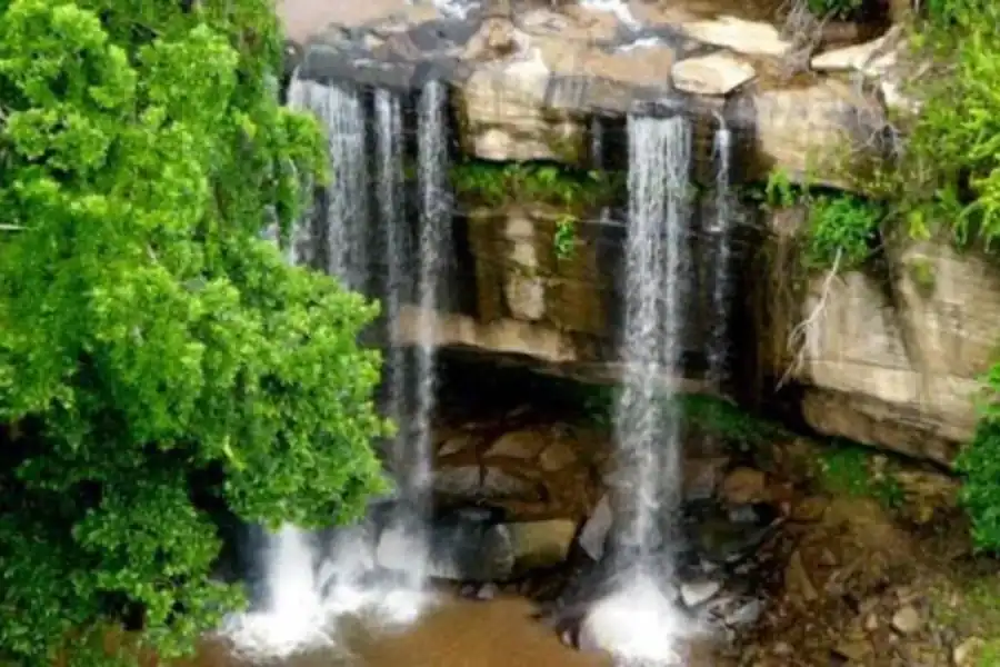 🕓1 day Shimba Hills Tour