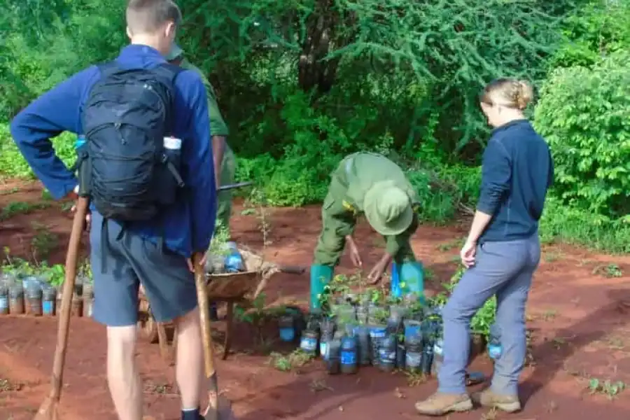 🚸14days Volunteer Community Wildlife Sanctuary