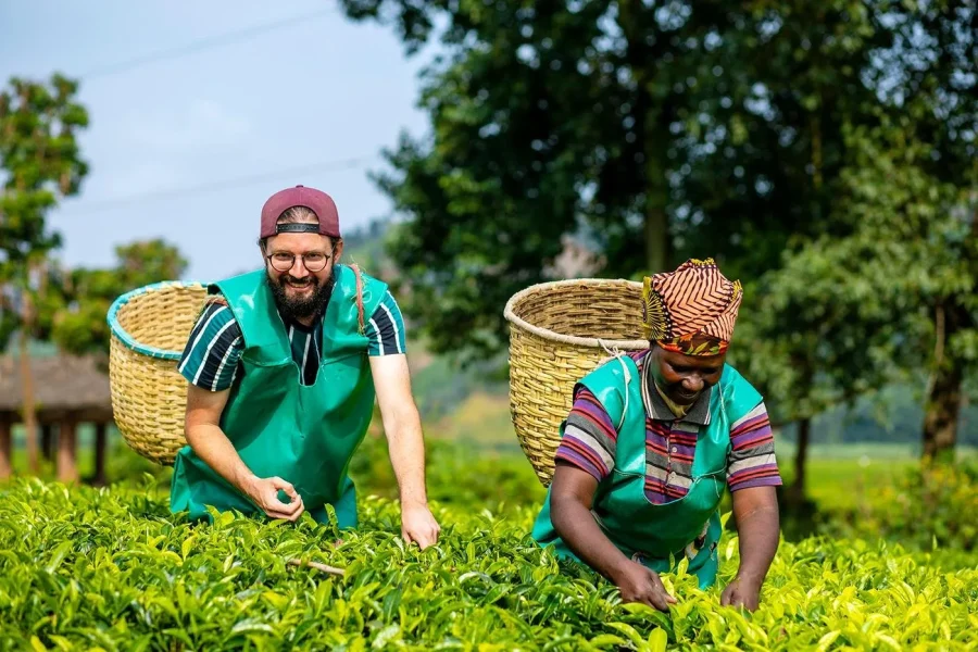 🕓2 Day From Crop To Cup Lake Kivu Coffee Experience