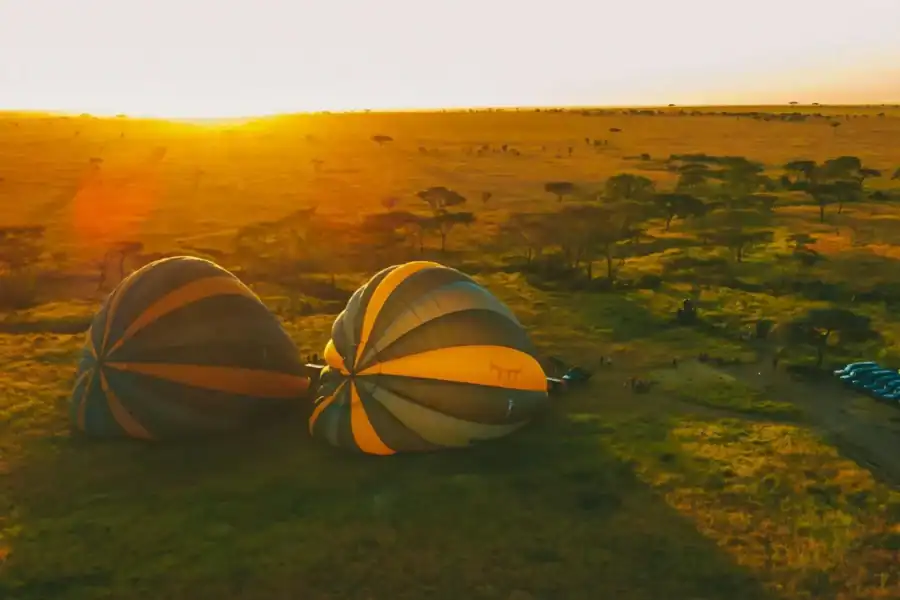 🕓2-Day Tanzania Safari: Ngorongoro& Tarangire