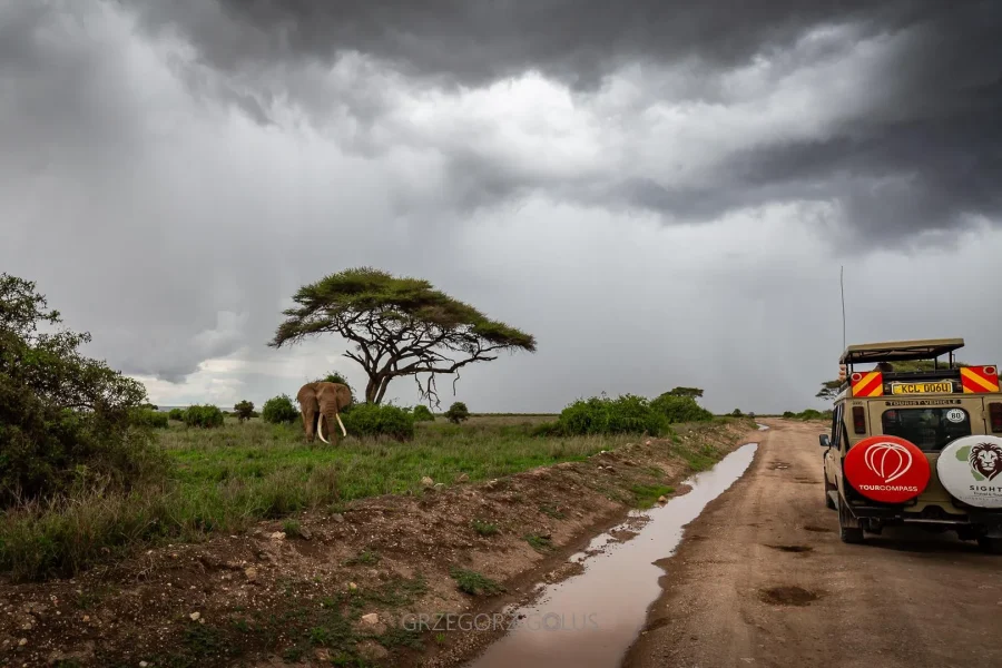 🕓2-Day Tsavo East Safari with Meals and Hotel, Open roof jeep
