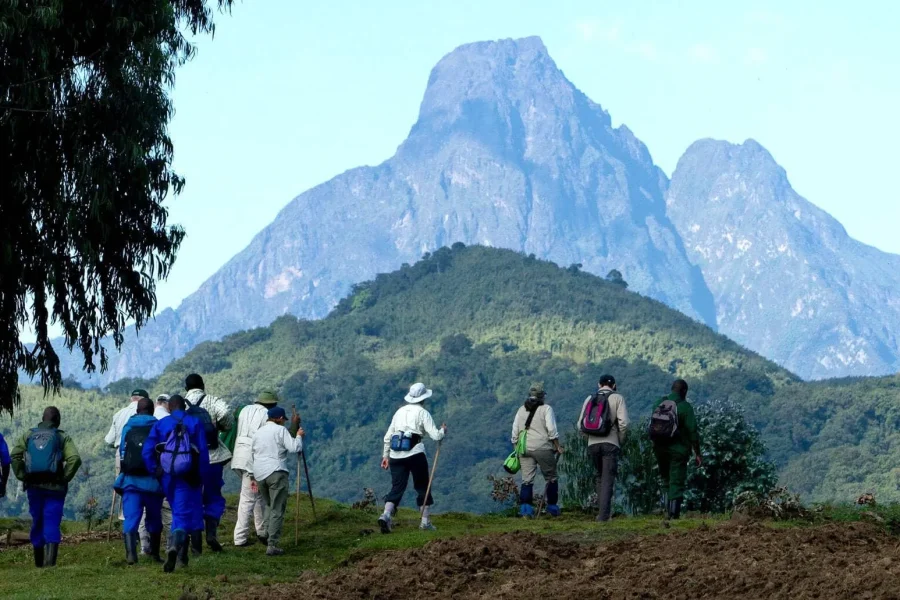 🕓2 Days Gorilla Trek in Volcanoes Park, Rwanda
