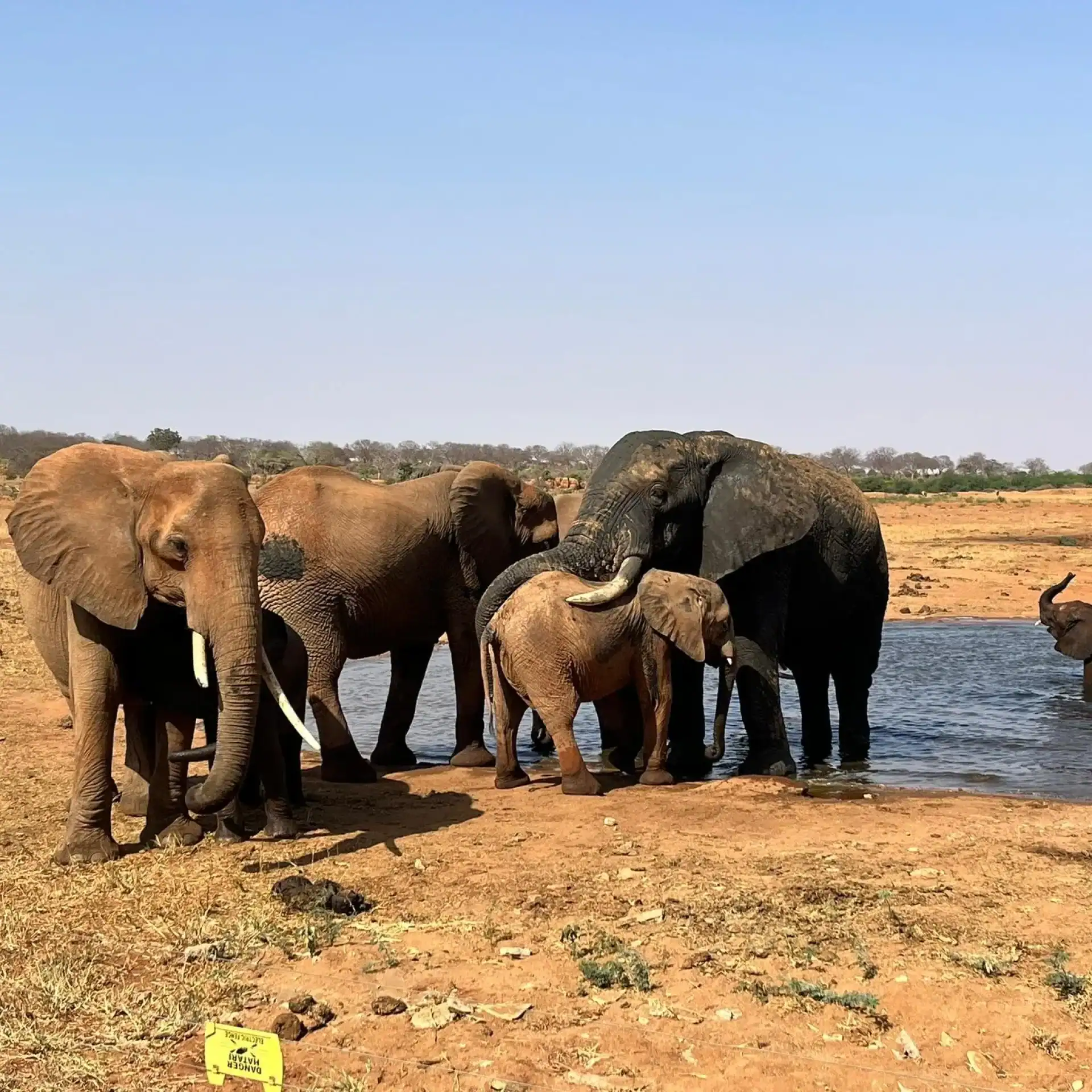 🕓3-Day Amboseli and Tsavo East Safari Tour
