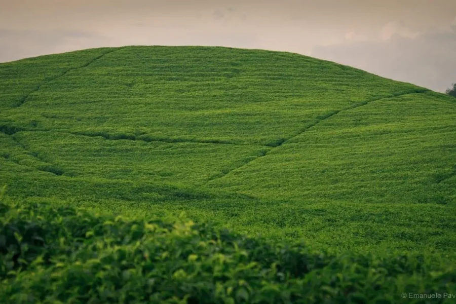 🕓3-Day Cultural Tour with Coffee Plantation Visit