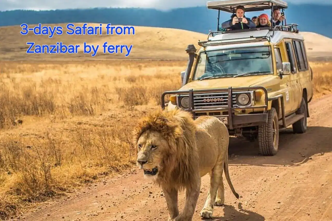 🕓3 DAYS, 2 NIGHTS SAFARI FROM ZANZIBAR TO MIKUMI BY FERRY.