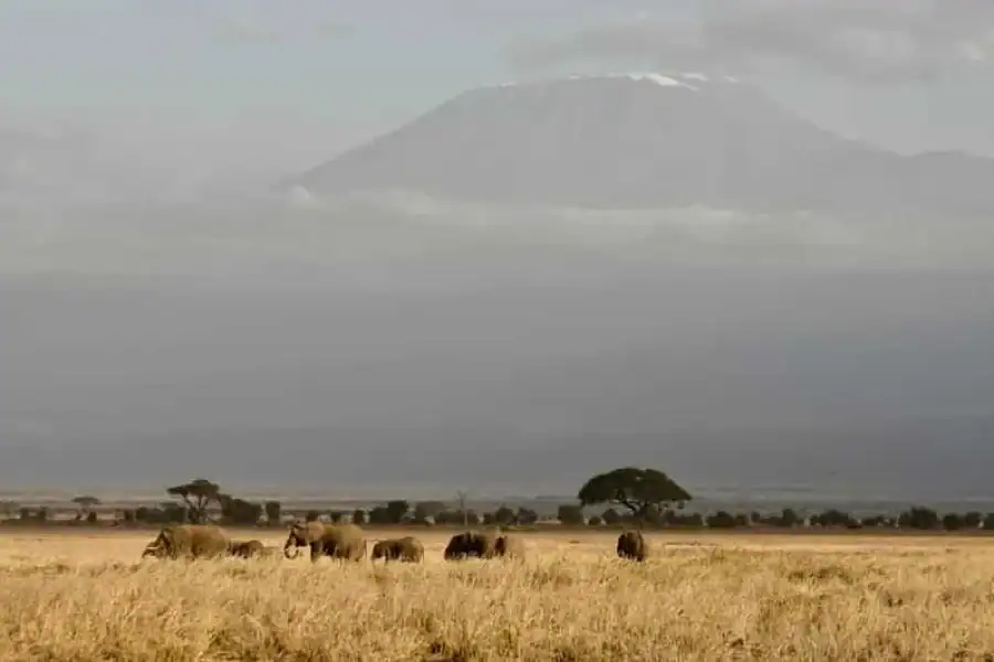 🚸3 Days Amboseli Experience