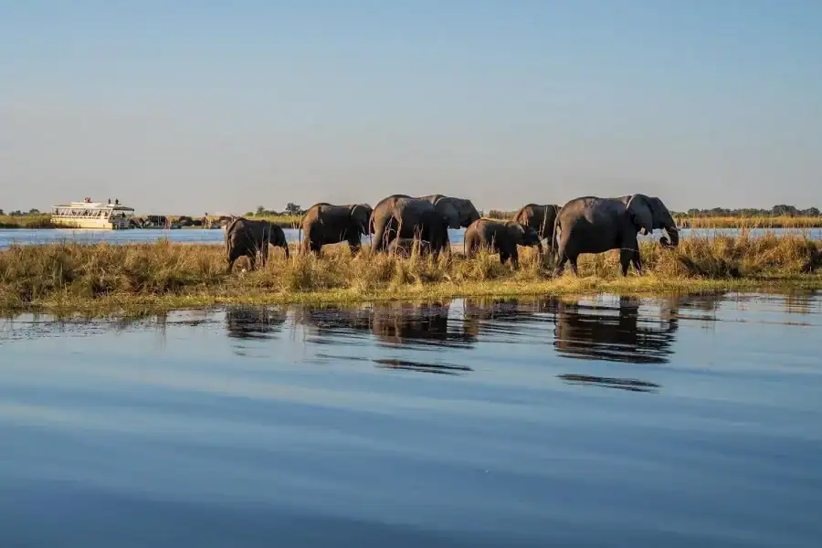 🕓3 Days Explore Zambia, Zimbabwe and Chobe Park in Botswana