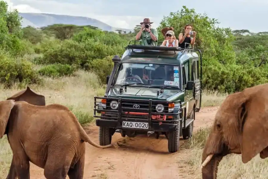 🚸3 Days Luxury Maasai Mara Fly Package