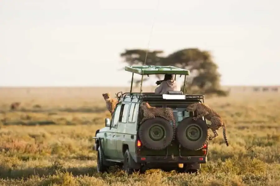 🚸3 Days Masai Mara Camping Safari On A 4×4 Land Cruiser Jeep