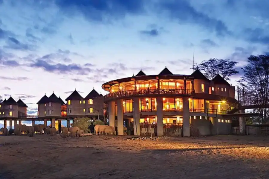 🕓3 Days Safari to Saltlick lodge From Nairobi
