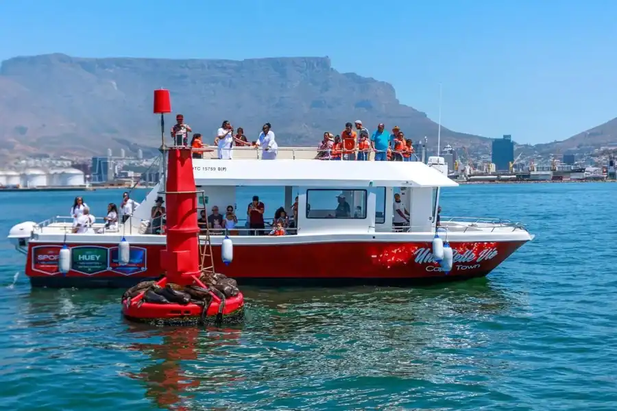 🕓30min V&A Waterfront Harbour Cruise Cape Town
