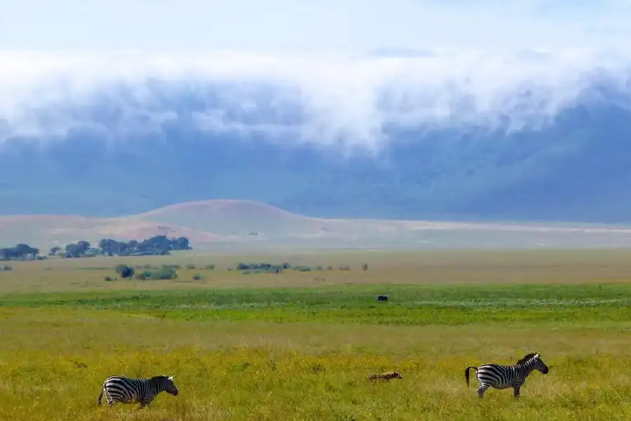🕓4-Day Tanzania Budget Safari – Ngorongoro Crater