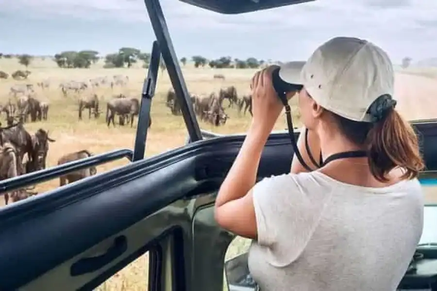 🚸4-day Wildebeest Migration Safari Masai Mara-midrange Lodge