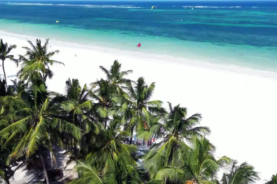 🕓5-Day Kenya Wildlife& Beach Safari: From Nairobi to Coast