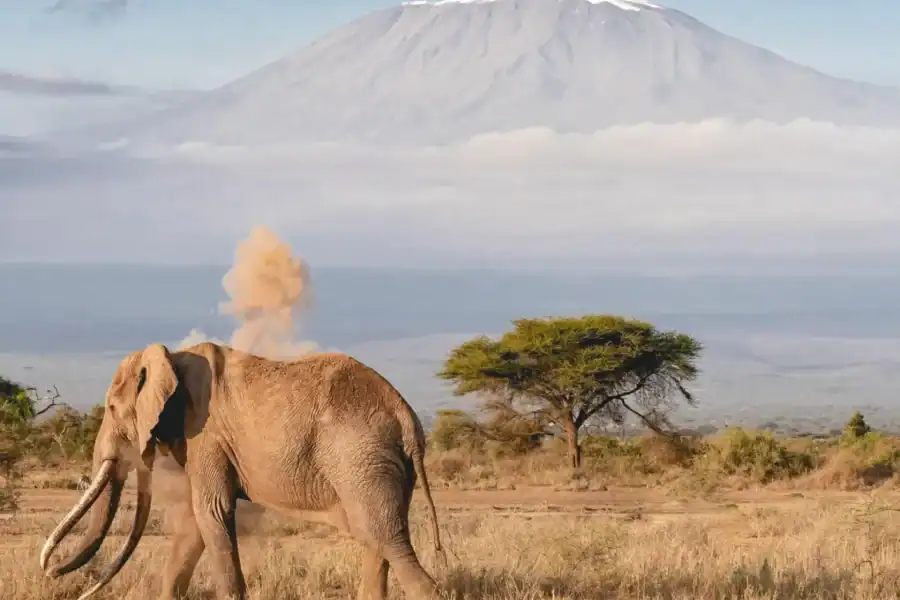 🕓5 Days Kenya Safari – Maasai Mara, Hell's Gate, and Amboseli