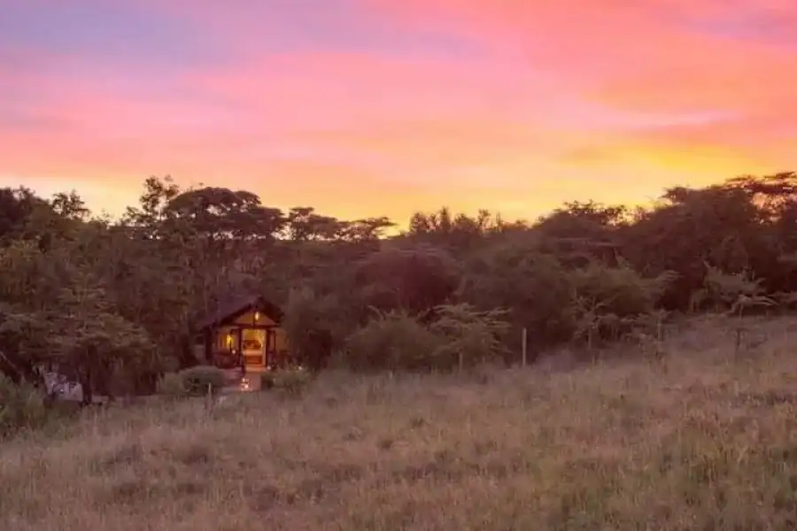 🚸6 Days, Safari To Masai Mara, Lake Nakuru And Amboseli