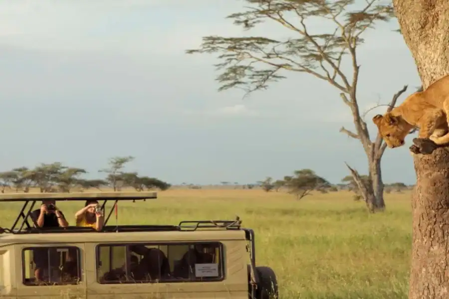 🕓7-Day Group Safari Adventure