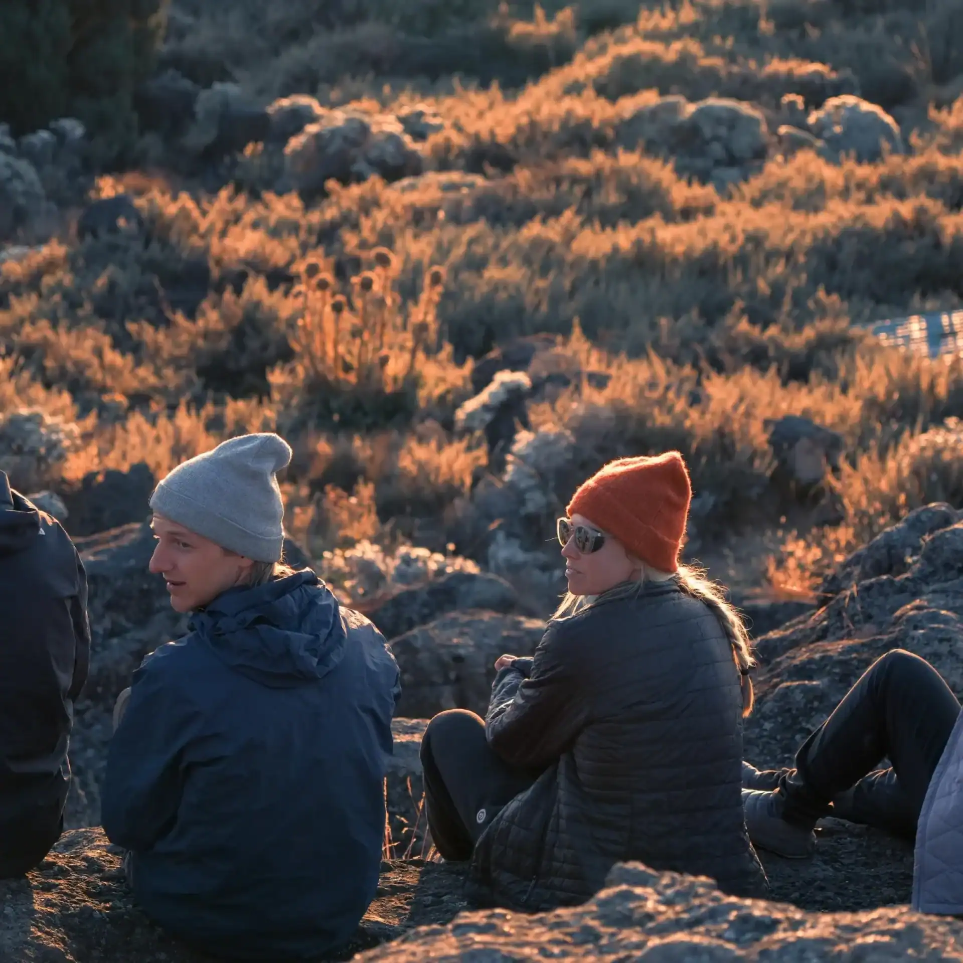 🕓8 Days Lemosho Route – Summit Kilimanjaro on New Year 2026