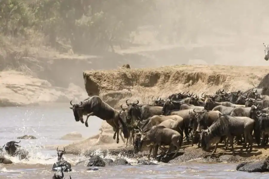 🕓9 Days Group budget Safari Through Kenya and Tanzania