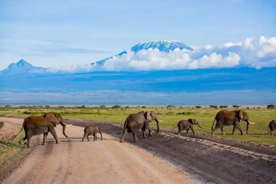 🚸A Private Tour To Amboseli National Park By Jeep