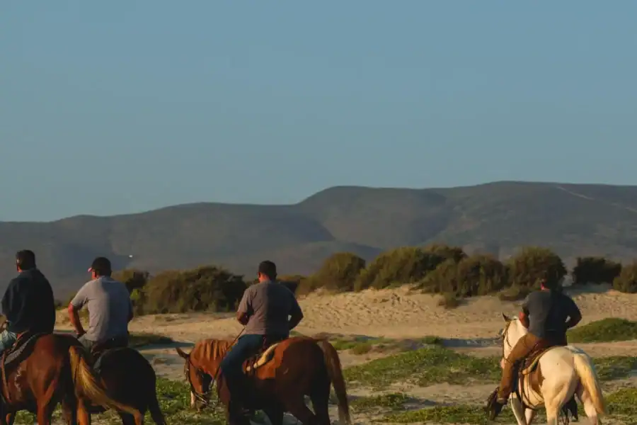 🕓Accra: Horse Riding Experiencer Near Coastal Areas
