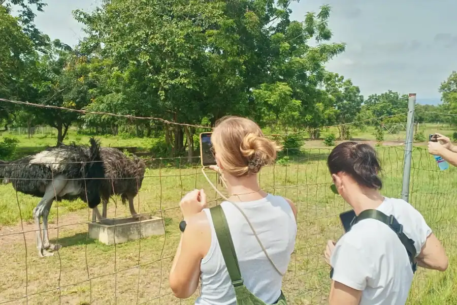 🕓Accra: Shai Hills Resource Reserve Half-Day Tour