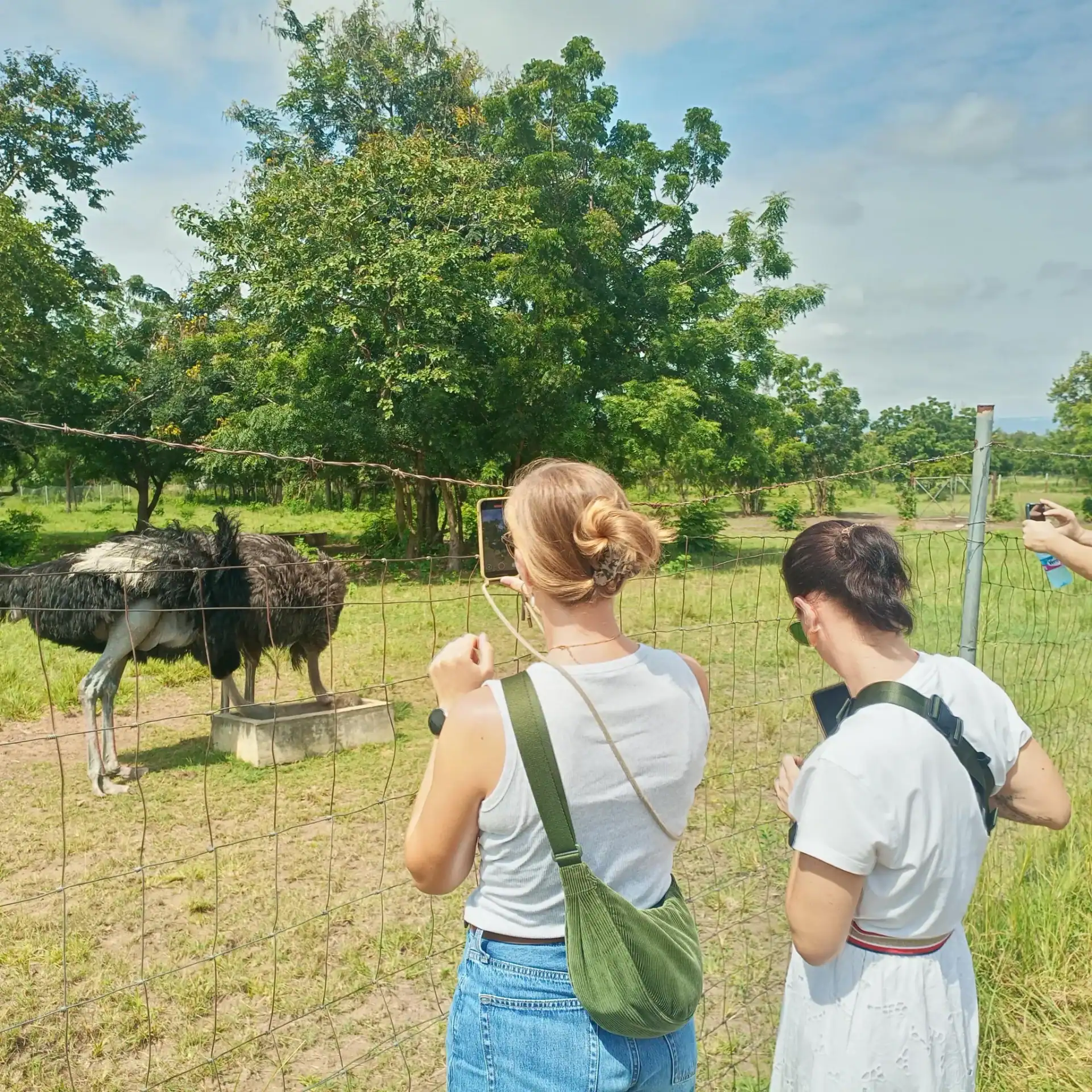🕓Accra: Shai Hills Resource Reserve Half-Day Tour