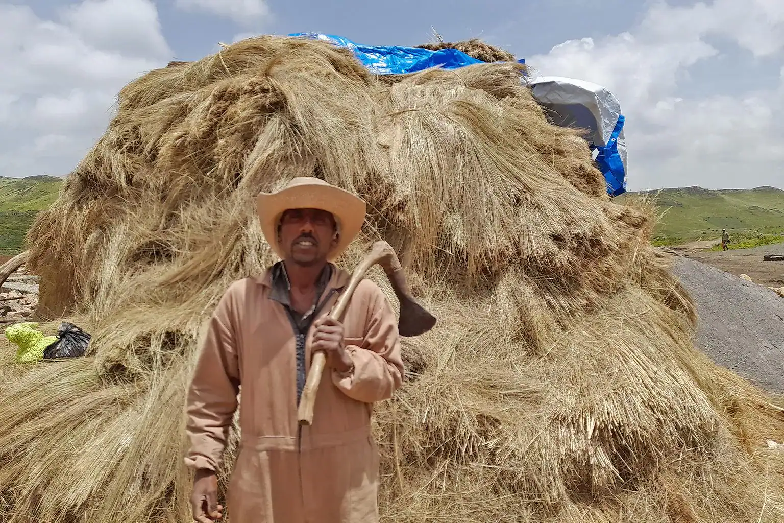 🕓Addis Ababa: 3-Day Guassa Plateau Wildlife Tour