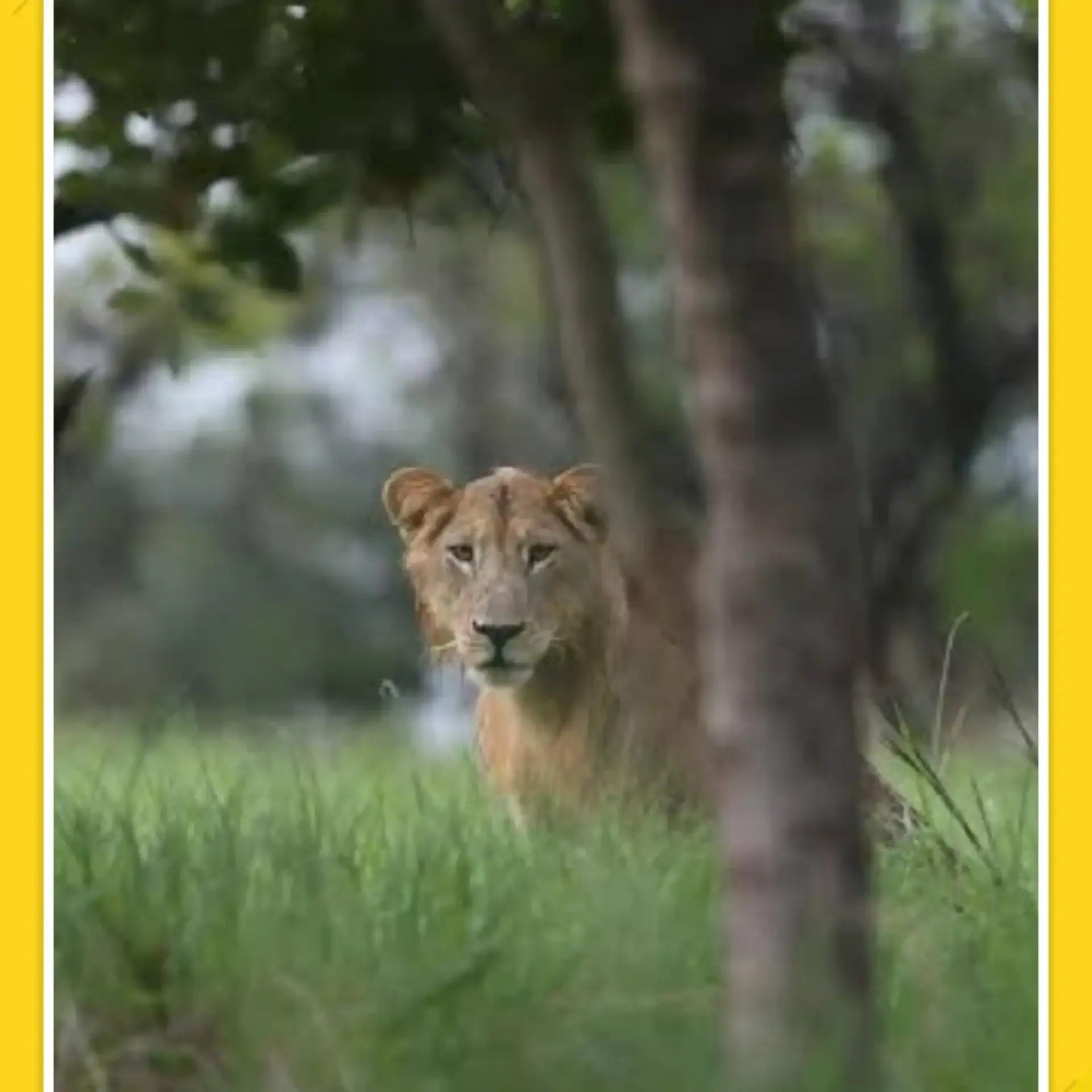 🕓Addis Ababa: 8-Day Bale Mountains& Maze Park Wildlife Tour