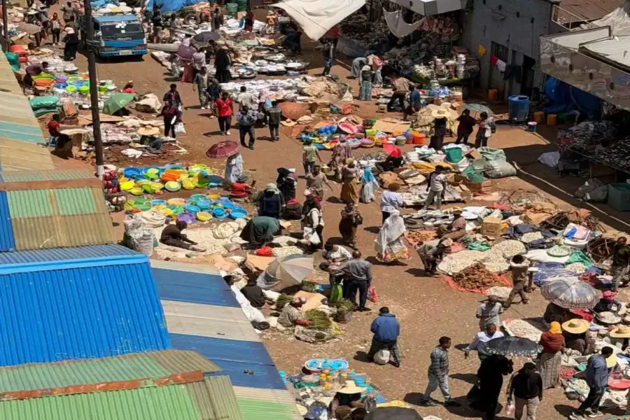 🕓Addis Ababa: City Tour Museum, Mercato& Entoto