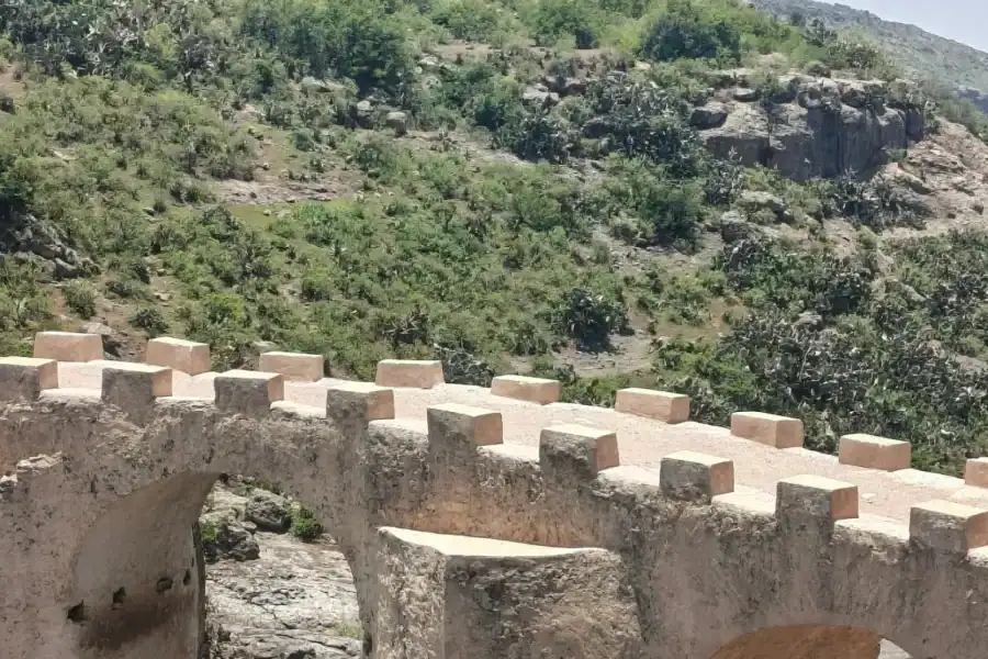 🕓Addis Ababa: Debre Libanos Monastery& Jemma Valley Tour