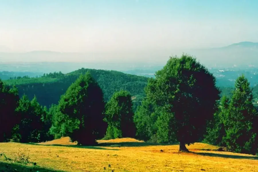 🕓Addis Ababa: Entoto Hills Scenic Drive