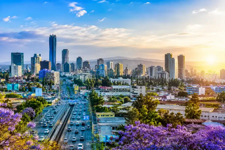 🕓Addis Ababa Half-Day Tour: Museum, Mercato& Coffee
