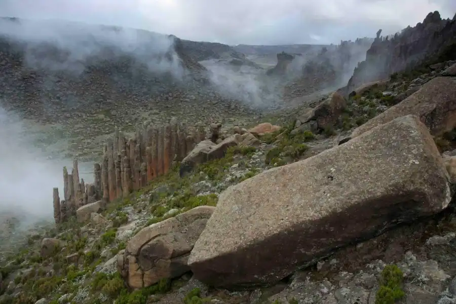🕓Addis Ababa: Harar, Bale Mountains, and Awash 8-Day Tour