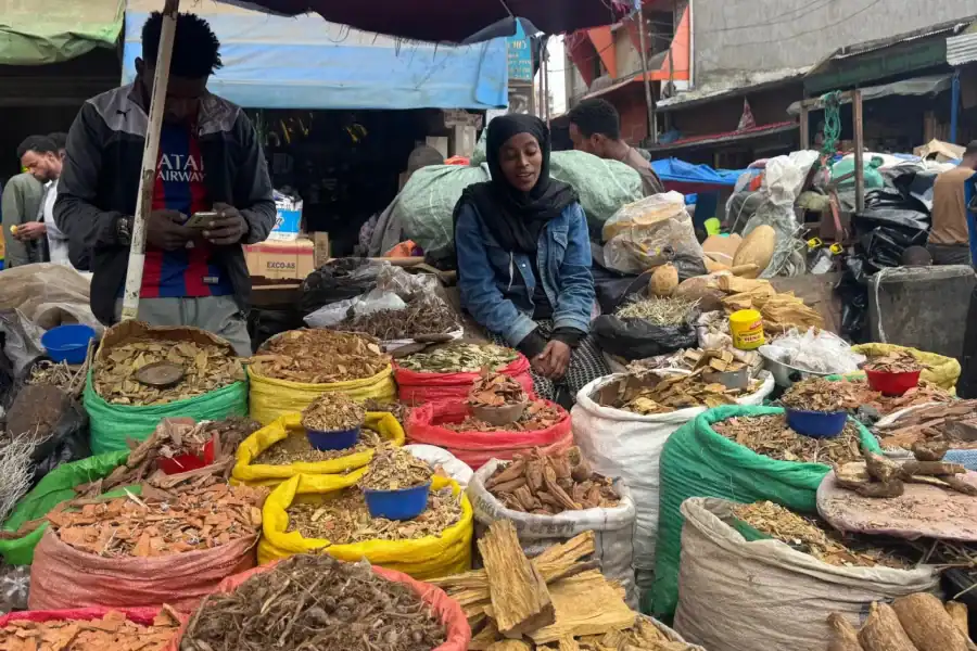 🕓Addis Ababa: Mercato Market and Sightseeing Tour (flexible)