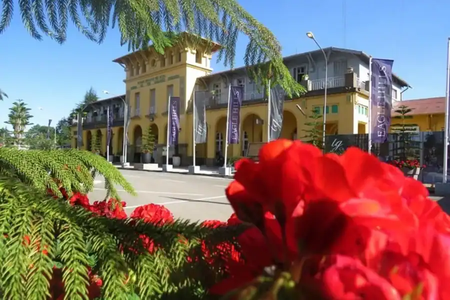 🕓Addis Ababa: Tour Coffee Ceremony with German-speaking guide