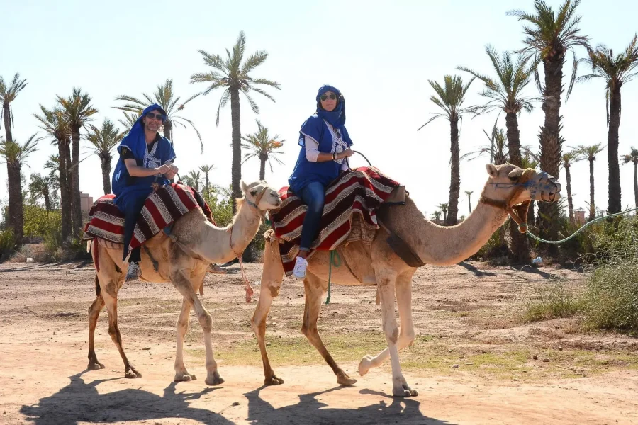 🕓Agadir Camel Ride Flamingo River& BBQ Dinner