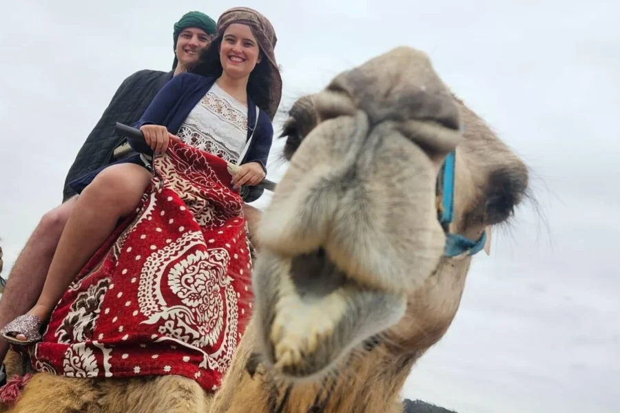 🕓Agadir: Souss River Camel Ride& Flamingo Spotting