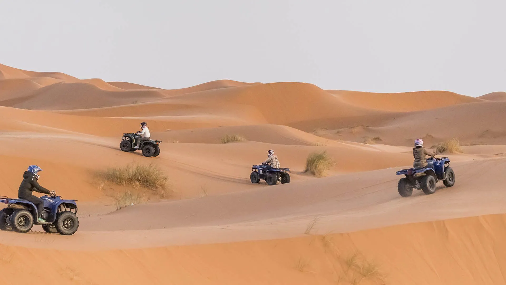 🕓Agadir/Taghazout Quad Bike and Sandboarding Beach& Desert