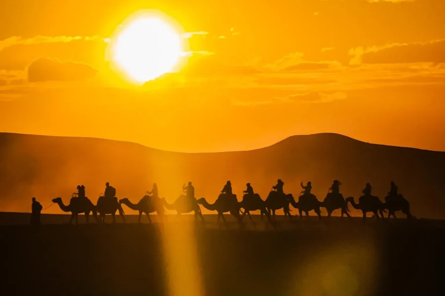 🕓Agafay: Pool, Camel Ride, Dinner& Fire Show