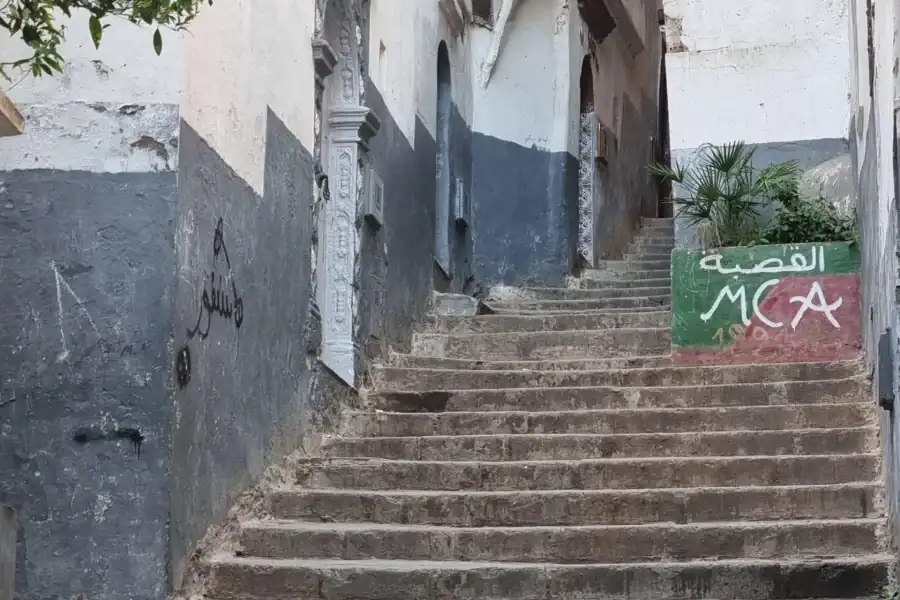 🕓Algiers& Casbah: Old Town Walking Tour