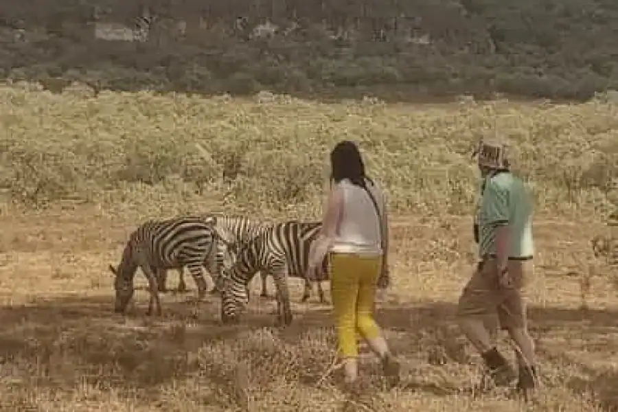 🚸Amboseli: 3-day Camping Safari