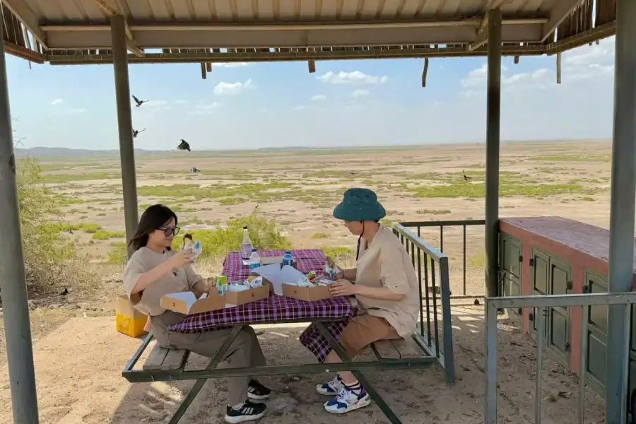 🕓Amboseli National Park Day Tour with Lunch& Maasai Village