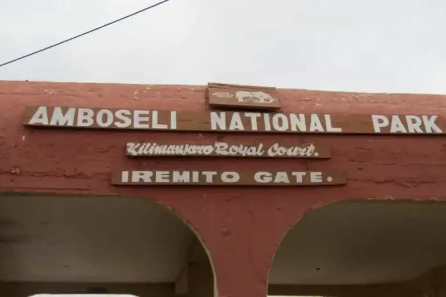 🚸Amboseli National Park Day Trip