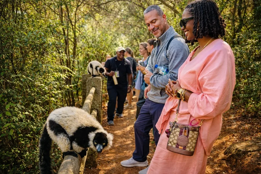 🕓Antananarivo: Full day Lemurs’ Park/Queen’s Palace/City Tour
