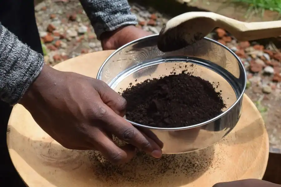 🕓Arusha: Coffee Tour