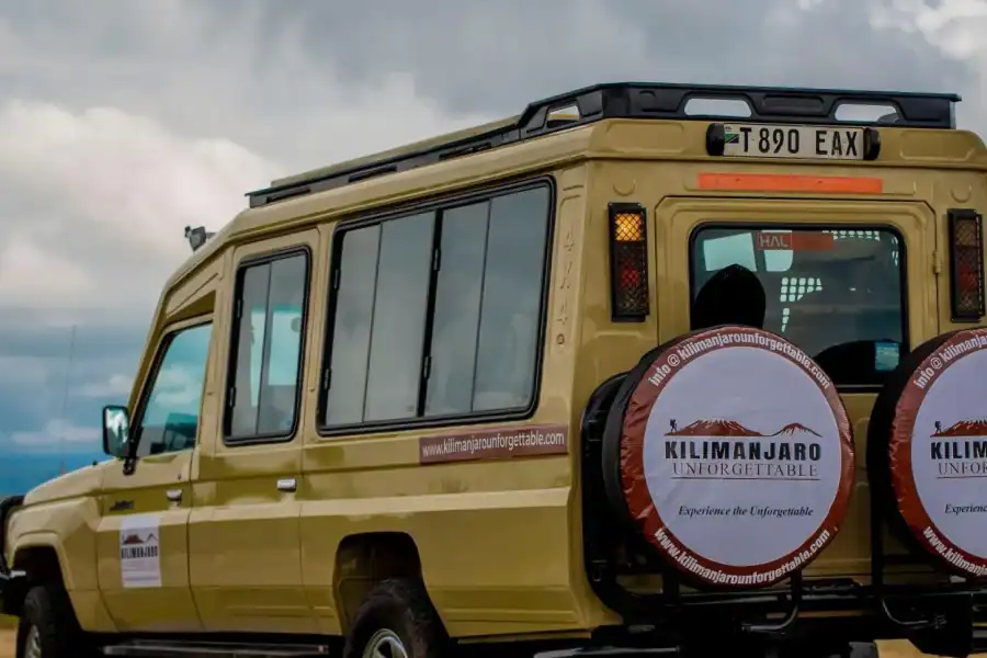 🕓Arusha: Day Trip to Ngorongoro Crater Safari with Lunch